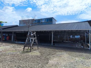 jasa baja ringan cirebon